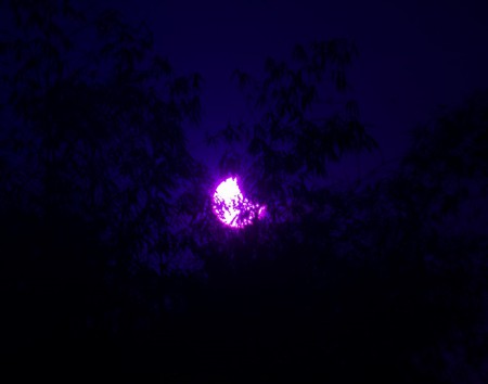 Eclipse solar em Caxias - MA